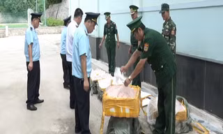 Kiểm đếm, tịch thu số nầm lợn nhập lậu. Ảnh: TL.