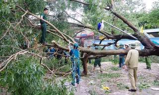 Giúp nhân dân thành phố Vinh thu dọn cây cối gãy đổ sau bão số 2.