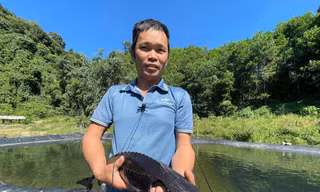Đổi đời nhờ nuôi cá tầm