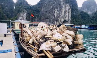 Rác phao xốp bị vứt tràn lan ở vịnh Hạ Long