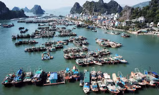 Đảo Vân Đồn 'khát' xăng dầu, Giám đốc Sở Công Thương nói 'có việc gì lớn đâu'