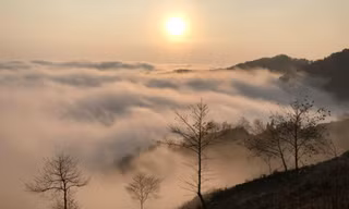 Săn mây trên đỉnh Cao Mã Pờ