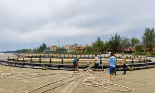 Lựa thủy triều để bàn giao lồng bè cho phía Trung Quốc bị bão Yagi đánh bay