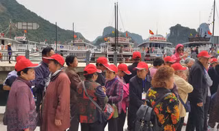 Xác minh thông tin 'du lịch thảm họa, vứt khách lại trên đảo Ti-tốp'