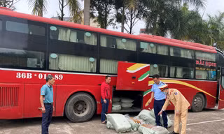 Phát hiện nửa tấn lòng lợn thối trên xe khách 