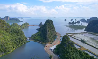 Vịnh Hạ Long đang ở 'cảnh báo đỏ'
