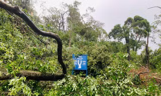 Khu du lịch Yên Tử tan hoang sau bão