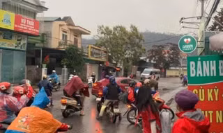 Trâu 'điên' náo loạn đường phố, nhiều học sinh bị thương