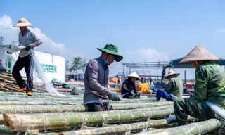 Ngư dân Quảng Yên hối hả đóng bè mới trở lại nuôi trồng thủy sản sau bão