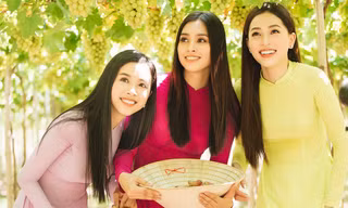 Top 3 Hoa hậu Việt Nam 2018 diện áo dài xinh đẹp thăm tháp Chàm