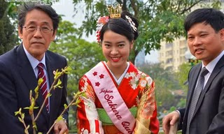 Nữ hoàng Hoa anh đào 2018 Rika Takenaka.