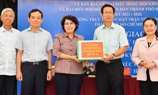 TPHCM có bao nhiêu ứng cử viên đại biểu Quốc hội dưới 40 tuổi?