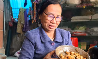 Bà giáo người Thái kiếm nửa triệu mỗi ngày từ nuôi côn trùng đặc sản