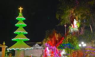 Cây thông Noel ‘độc nhất vô nhị’, được trang trí từ cả triệu vỏ sò, ốc, hàu