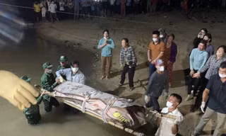 Vụ 2 ngư dân mất tích khi đi câu mực: Tìm thấy thi thể mắc kẹt trong tàu cá bị chìm