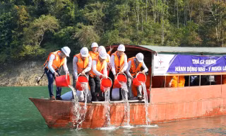 Thả 5 vạn cá giống xuống lòng hồ Thủy điện Bản Vẽ để tái tạo nguồn lợi thủy sản