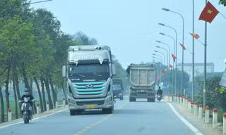 Chạy quá tốc độ, hơn 250 xe bus và xe đầu kéo bị thu hồi phù hiệu vận tải