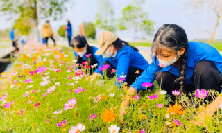 Tuổi trẻ Nghệ An với những phần việc ý nghĩa trị giá hàng tỉ đồng