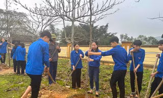 Trồng gần 5.000 gốc tre chống sạt lở ven sông Lam