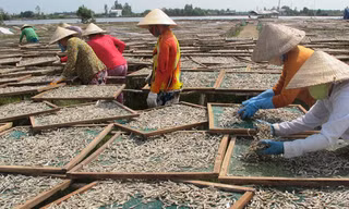 Thị trấn tỷ phú bên bờ biển Tây