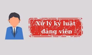 Ban Bí thư xem xét, thi hành kỷ luật đảng viên