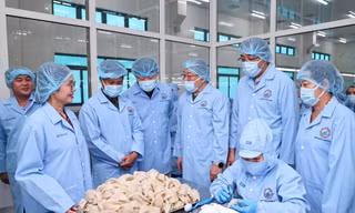 Yến sào Khánh Hòa đã xuất khẩu đến 30 quốc gia trên thế giới