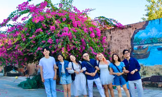 Giới trẻ thích thú check-in con đường hoa giấy rực rỡ ở Nha Trang