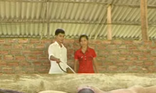 Lê Văn Bảy đang giới thiệu mô hình chăn nuôi lợn Ảnh: N.H