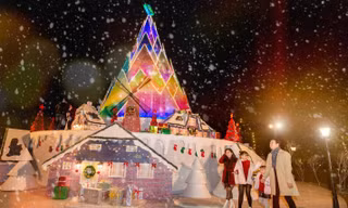 Hà Nội: Bạn đã kịp check-in cùng “cây măng Noel” đẹp như ở trời Âu chưa?