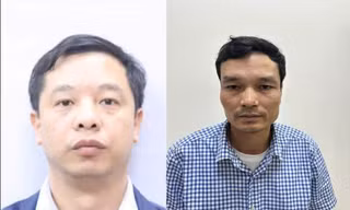 Nguyên nhân khiến Phó tổng Giám đốc Công ty Cổ phần xi măng Hạ Long xộ khám