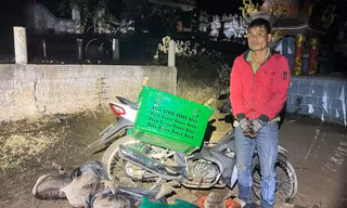  Bắt giữ vụ vận chuyển động vật rừng quý hiếm số lượng lớn ở Lao Bảo