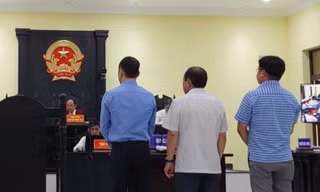 Tòa yêu cầu điều tra bổ sung vụ cha con 'thiếu gia' điện gió ở miền Tây