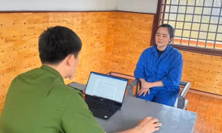 Thuê loạt ô tô tự lái rồi làm giả giấy tờ mang thế chấp 