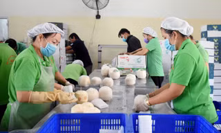 Khai thông thị trường Trung Quốc, xuất khẩu dừa có cơ hội vượt tỷ USD