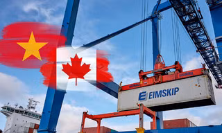 Đề nghị Canada không điều tra chống bán phá giá hàng Việt