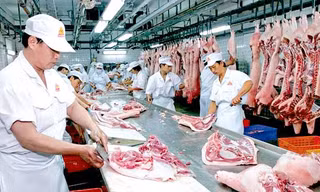 Nguy cơ thiếu nguồn cung thịt đến Tết nguyên đán 2022 nếu dịch bệnh kéo dài