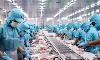 Xuất khẩu thủy sản sang Mỹ, Trung Quốc gia tăng 
