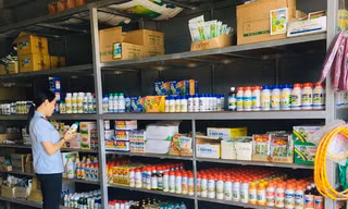 Doanh nghiệp thuốc trừ sâu cạnh tranh khốc liệt vì nông dân bỏ ruộng 