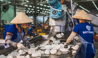 Xuất khẩu nông sản sắp thêm mặt hàng gia nhập 'câu lạc bộ' tỷ USD