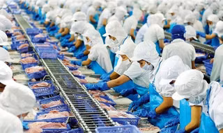 Trong tháng 8, giảm hơn 100 doanh nghiệp tham gia xuất khẩu thuỷ sản 