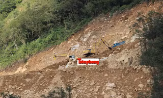 Chuyển rừng phòng hộ xây biệt thự, chủ đầu tư vi phạm như thế nào?