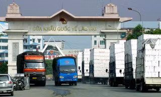 Yêu cầu doanh nghiệp cấp tốc đăng ký mã xuất khẩu nông sản sang Trung Quốc