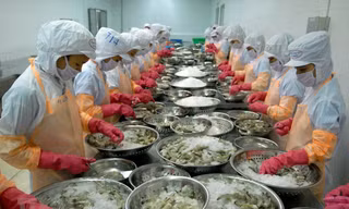 Trung Quốc tăng nhập thủy sản Việt Nam gấp 3 lần 