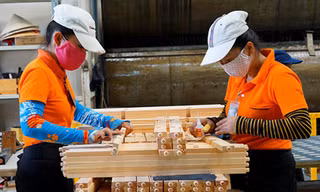 Chủ tịch Hiệp hội Gỗ và lâm sản Việt Nam bị bắt ảnh hưởng đến hội chợ quốc tế? 