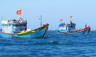 Biển Đông đón áp thấp nhiệt đới, cấp tốc báo tàu thuyền thoát vùng nguy hiểm