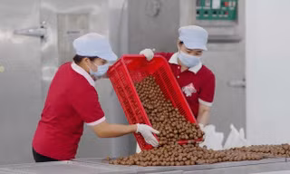 Anh siết quy định về dư lượng hoạt chất trong nhiều nông sản nhập khẩu
