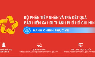 BHXH Việt Nam hướng dẫn sử dụng Bộ nhận diện thương hiệu của bộ phận 'Một cửa'