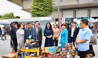 Quy mô thương mại điện tử Việt Nam dự kiến đạt 45 tỷ USD, top 3 Đông Nam Á