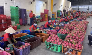 Thông tin bất ngờ vụ siêu thị Anh dừng bán thanh long Việt Nam