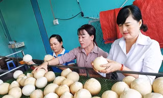 Mỹ chính thức nhập khẩu dừa Việt Nam